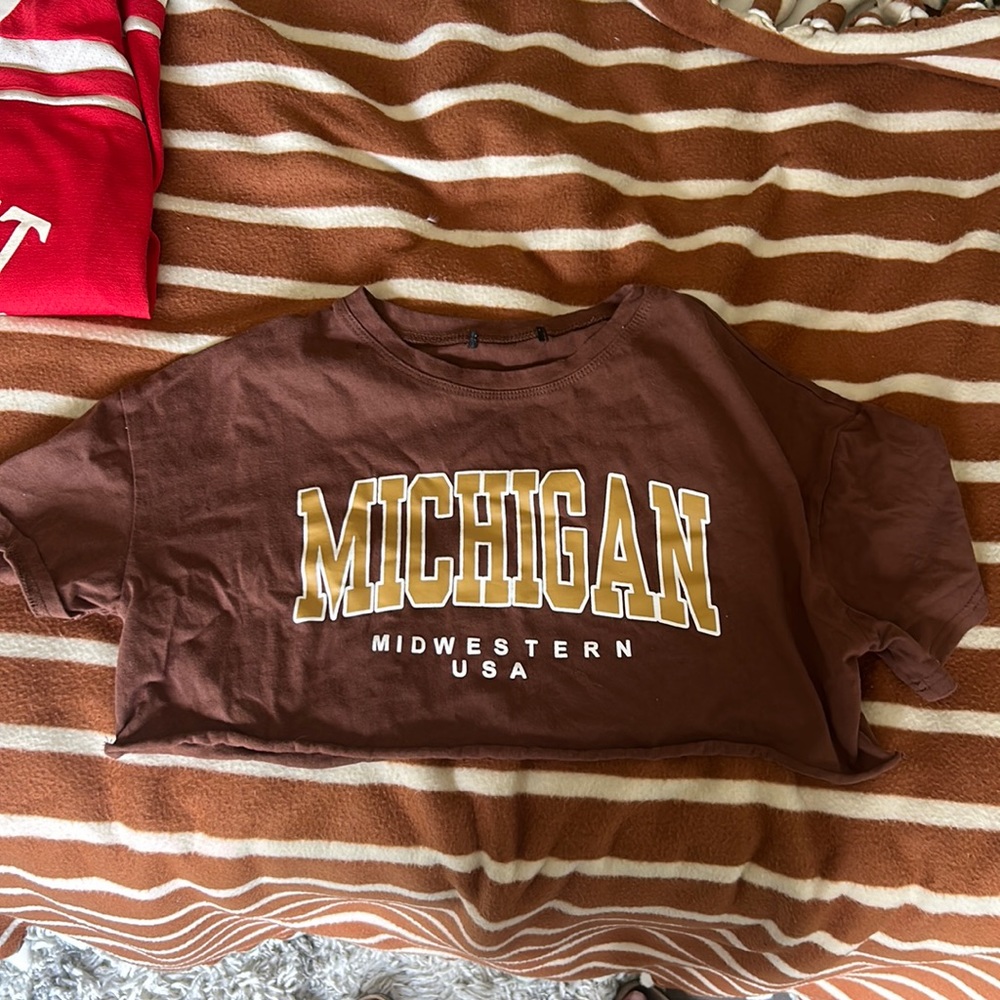 Michigan crop top shirt